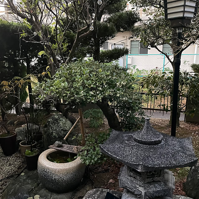 shin0719さんの実例写真