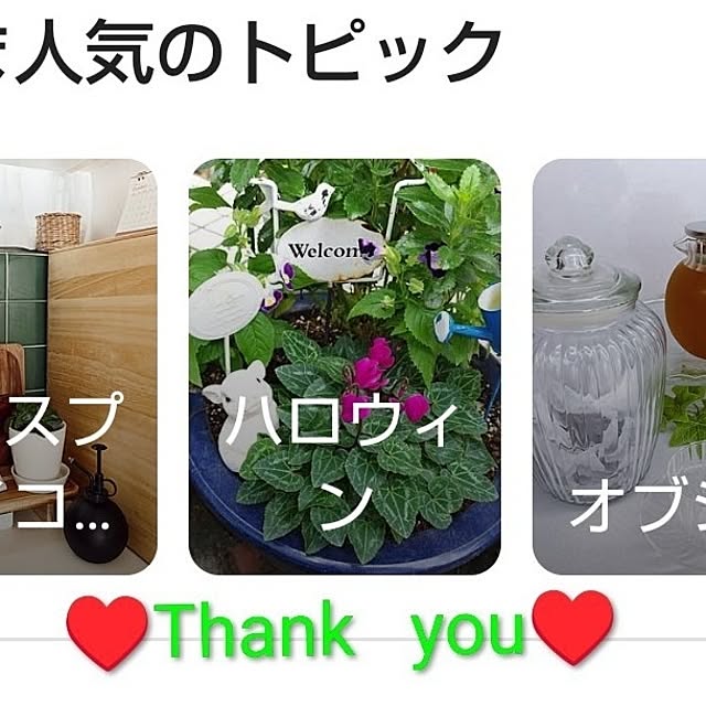 katさんの部屋