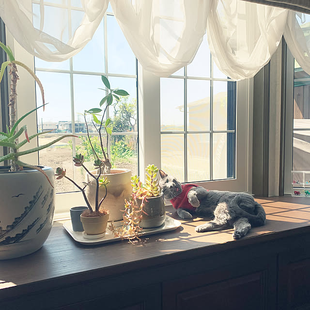 kanaさんの部屋