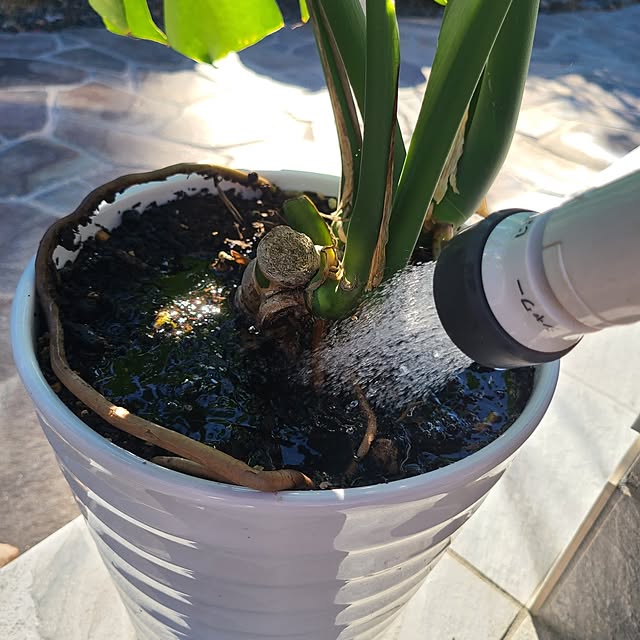 Rubiconさんの部屋