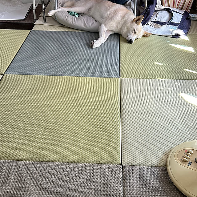 tanboさんの部屋