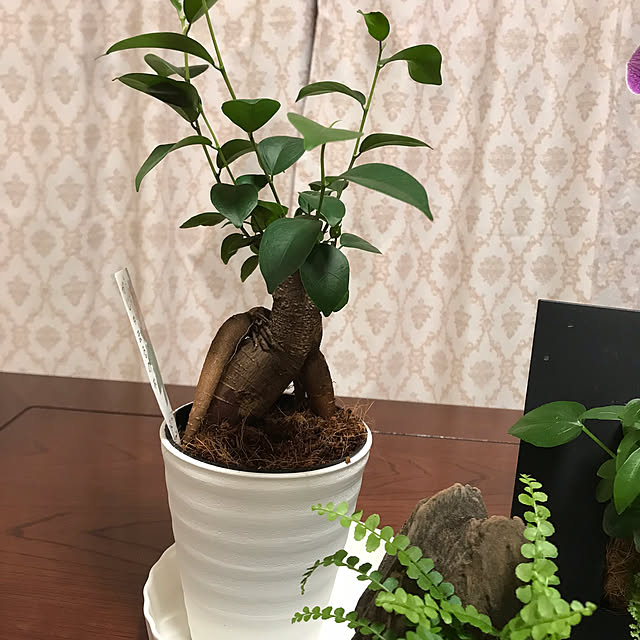 marikoさんの部屋