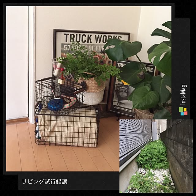 haruさんの実例写真