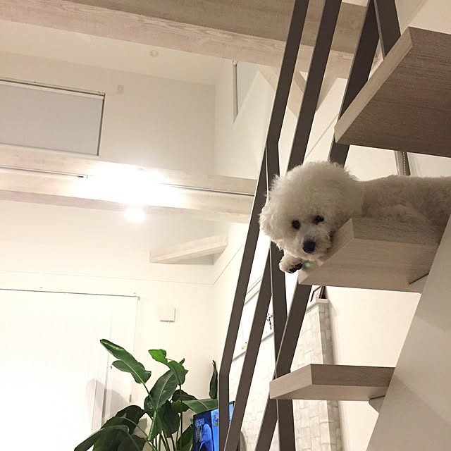unichanさんの実例写真