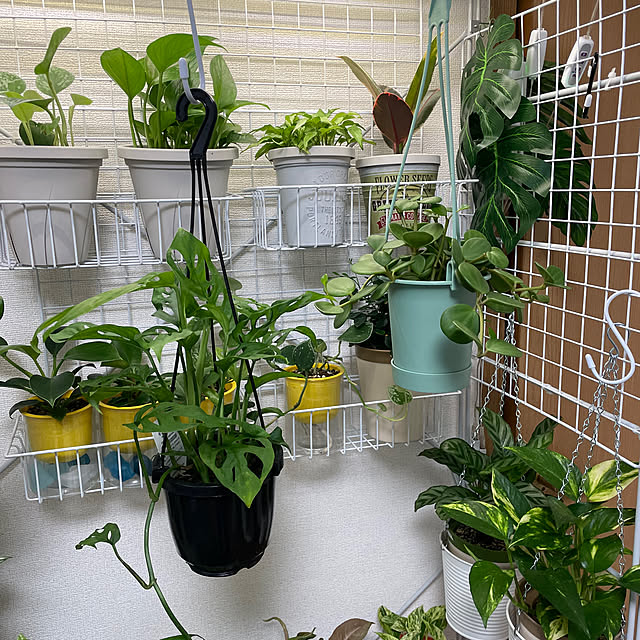 chi.pa.ruさんの部屋