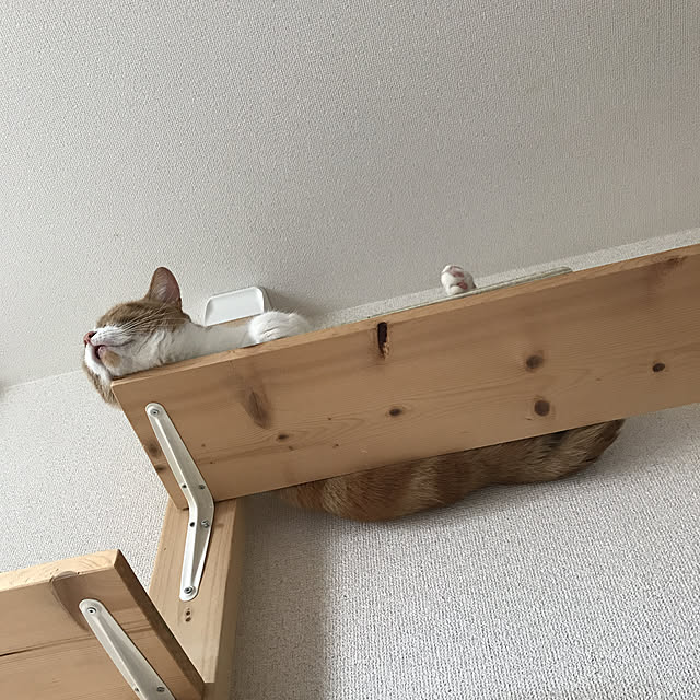 maruさんの実例写真