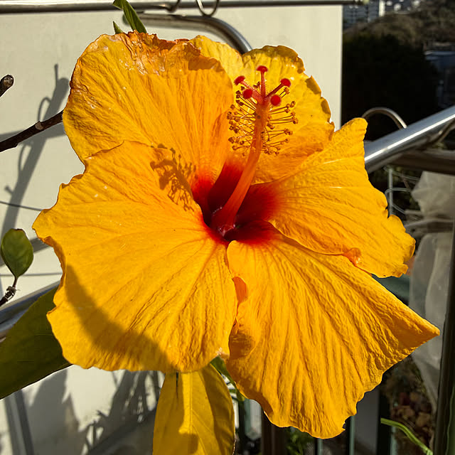 Aqettyさんの部屋