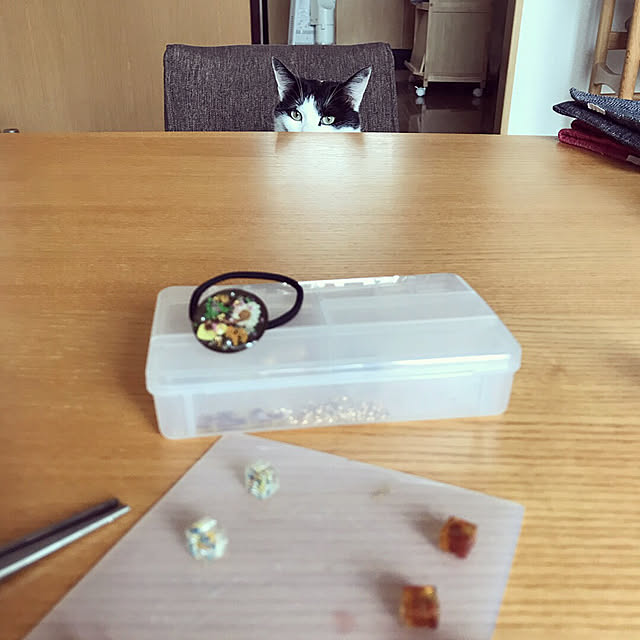 nicoさんの部屋