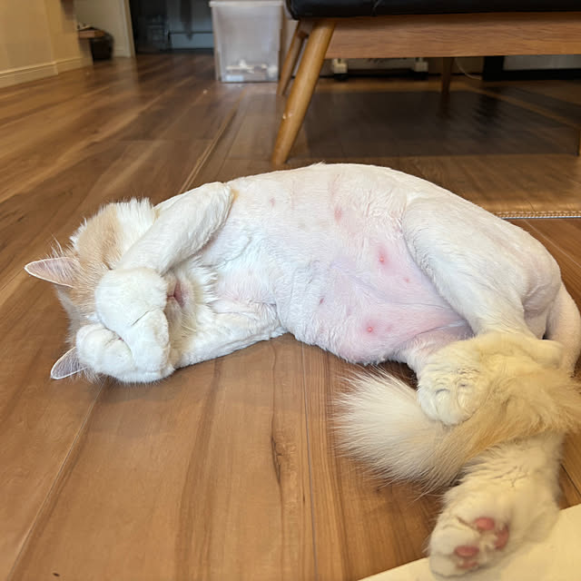 lovecofさんの実例写真