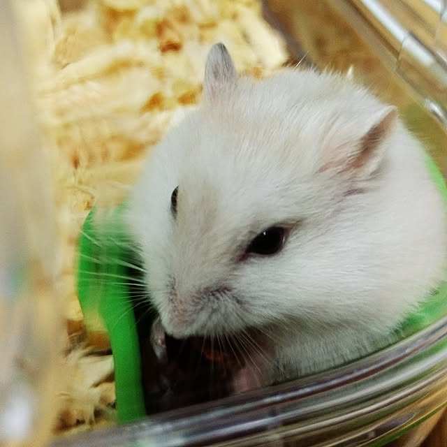 kikuさんの実例写真