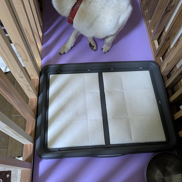 asaさんの実例写真