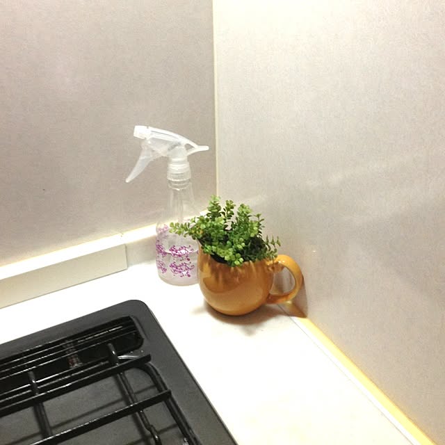 fumi1006さんの実例写真