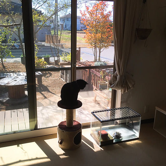 nanaさんの実例写真
