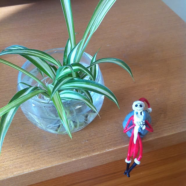 haru3さんの実例写真