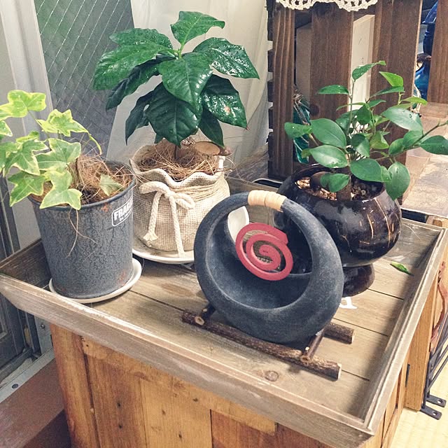 proproさんの実例写真