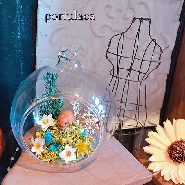 portulacaさんの実例写真
