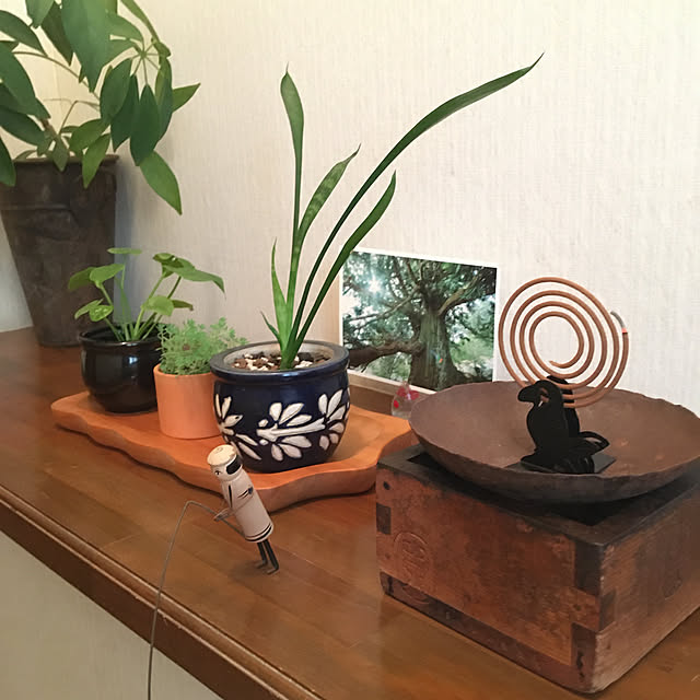 kuuさんの実例写真