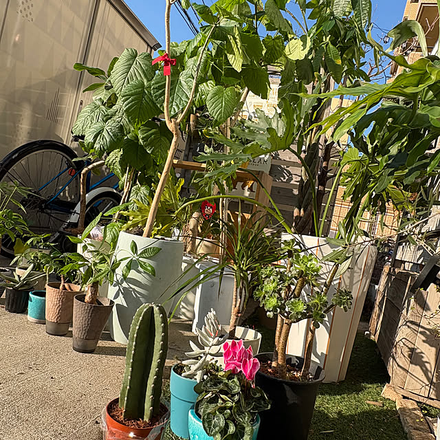 hirariさんの部屋