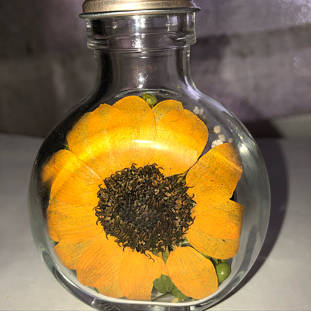 Nanohaさんの実例写真