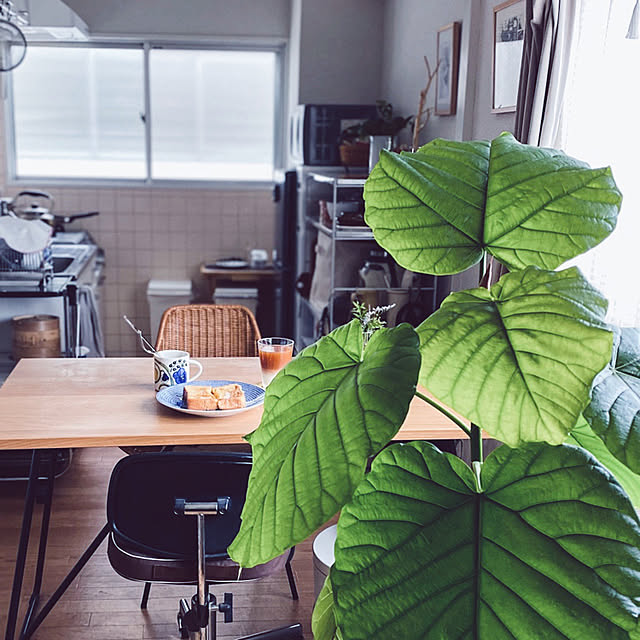 zumi08xxさんの実例写真