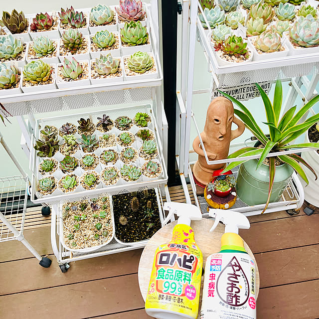 harumaruさんの実例写真