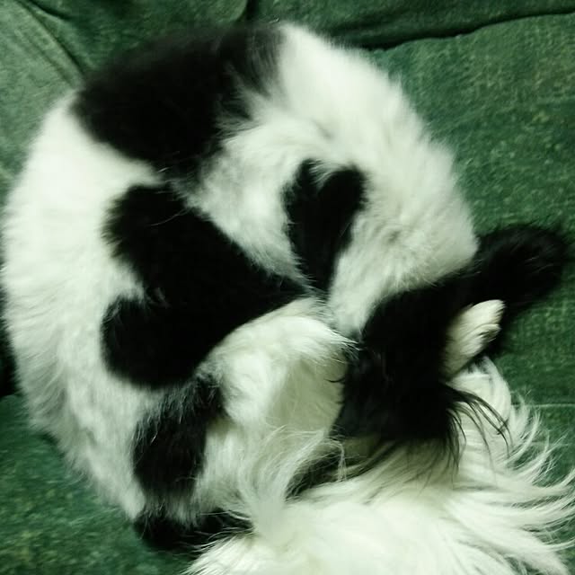Smileberryさんの実例写真