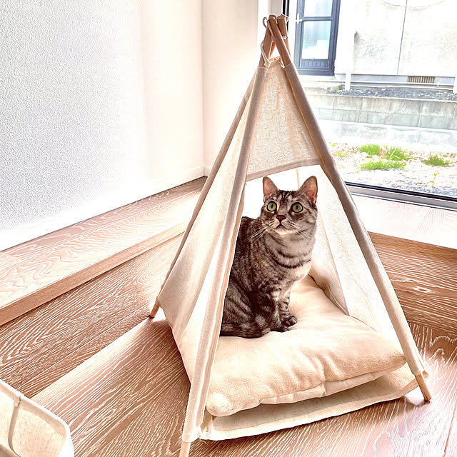goma12020217さんの実例写真