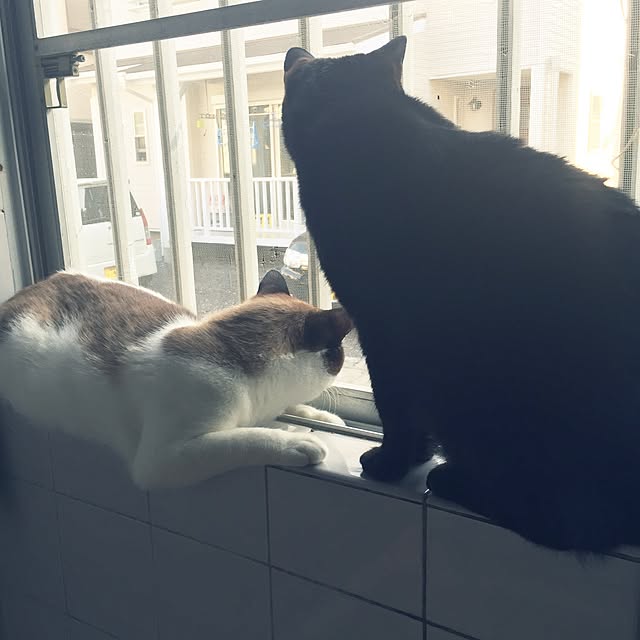 vivienne.coco-keiさんの実例写真