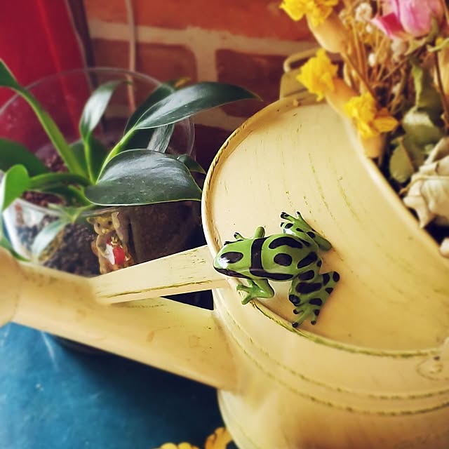 kumutanさんの部屋