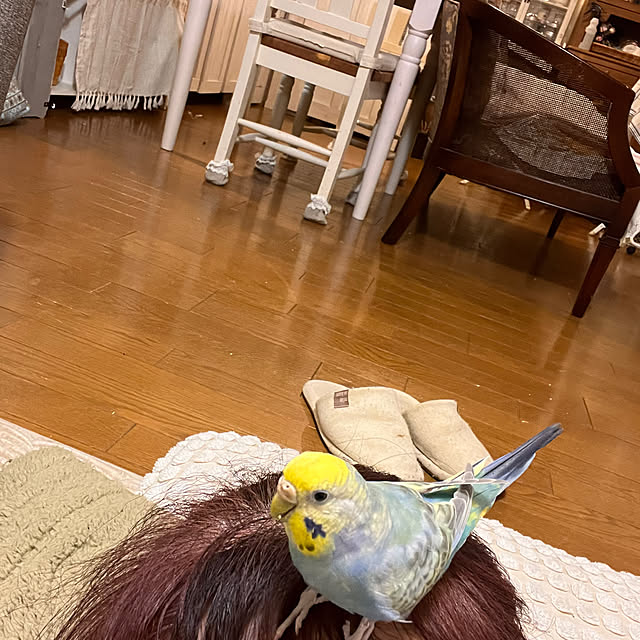Atsukoさんの部屋