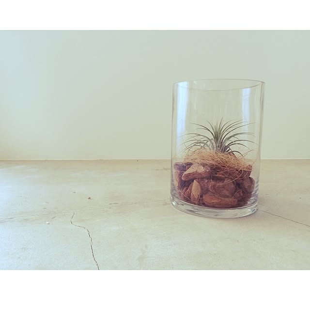 ninさんの実例写真