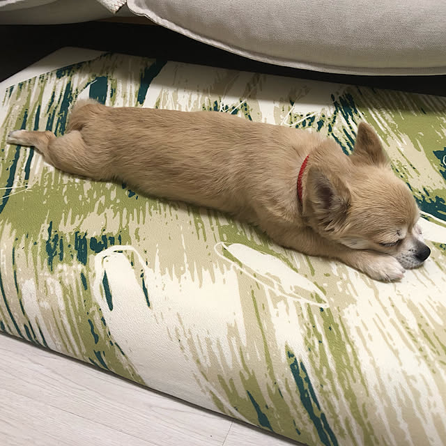 nori.kさんの実例写真