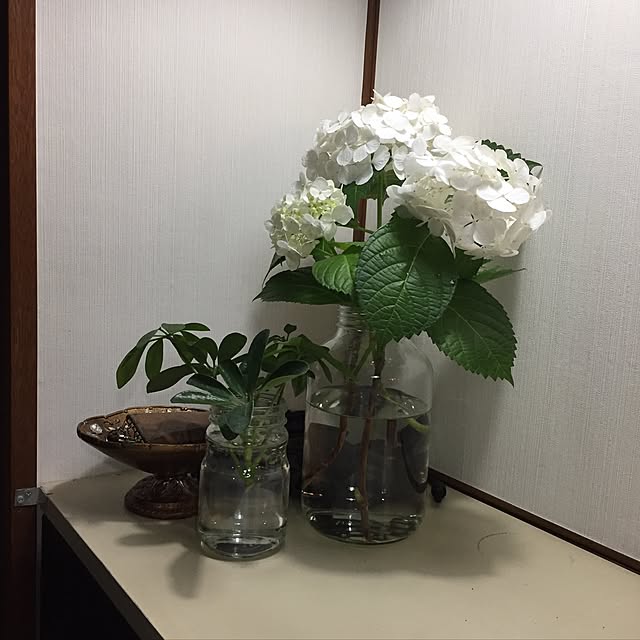 aninさんの実例写真