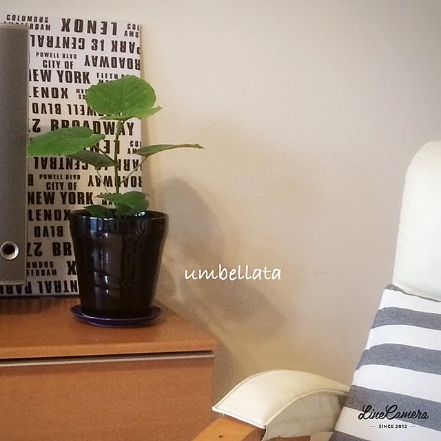 atominaさんの実例写真
