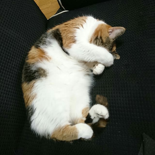 yukieさんの実例写真