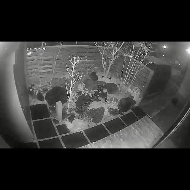 tamabaka1971さんの部屋