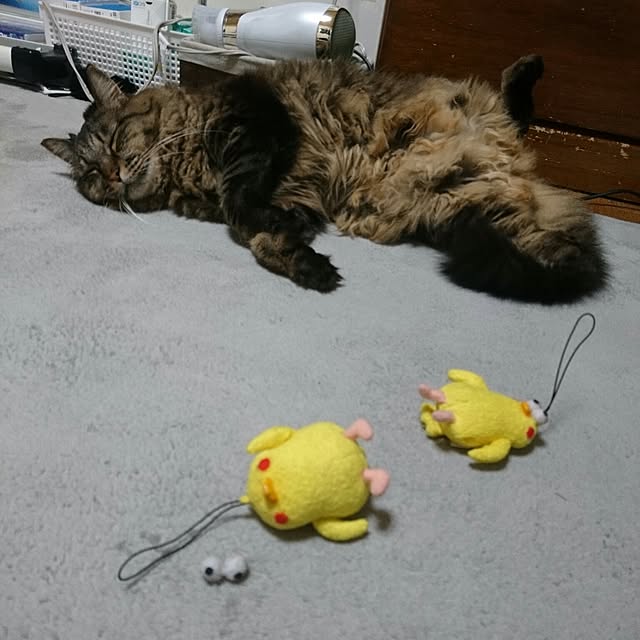 mayu.ariさんの実例写真