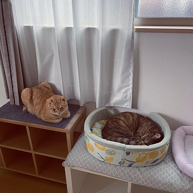 chiiさんの部屋