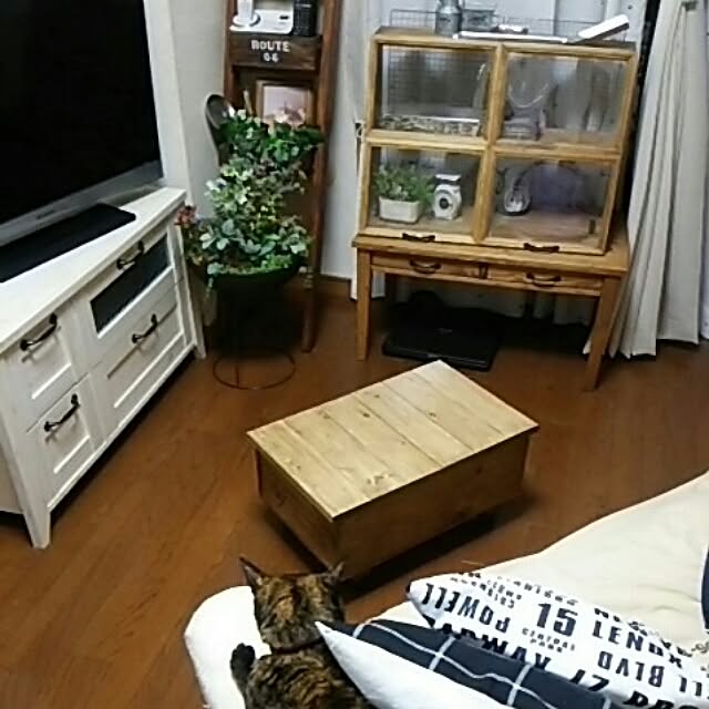 DS250さんの実例写真