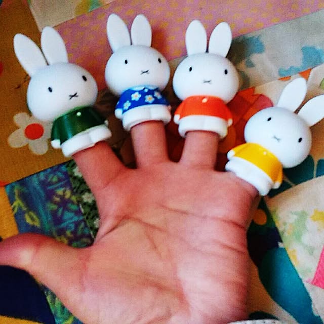 hana39soraさんの実例写真