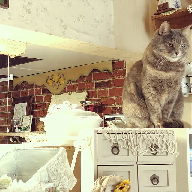 honeyさんの実例写真