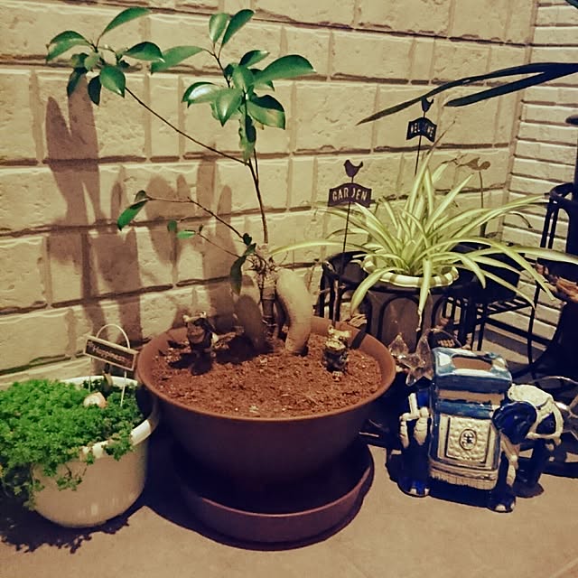 nanay43468203さんの実例写真