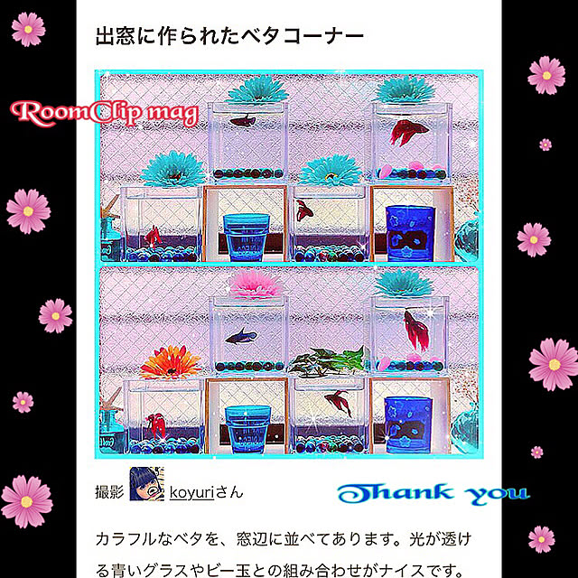 koyuriさんの実例写真