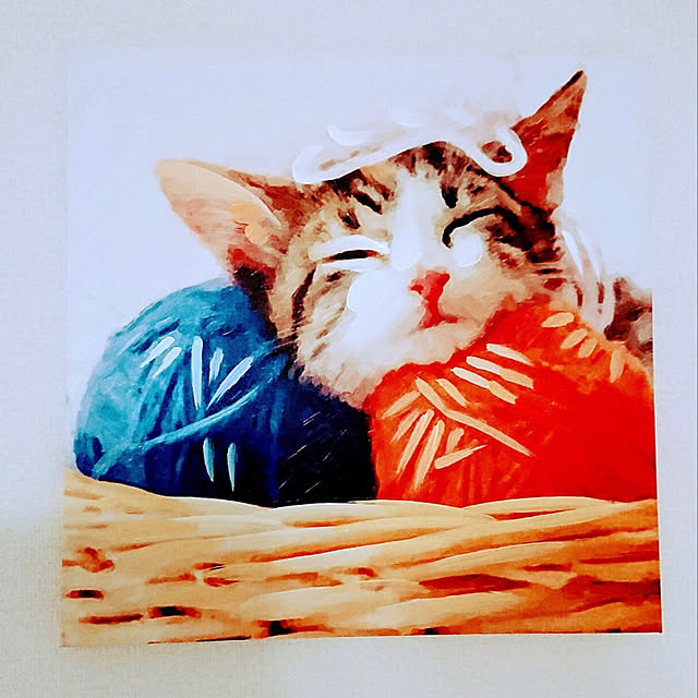 実例写真