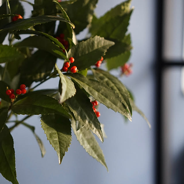 Igako7121さんの部屋