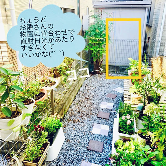 mo-nosukeさんの実例写真