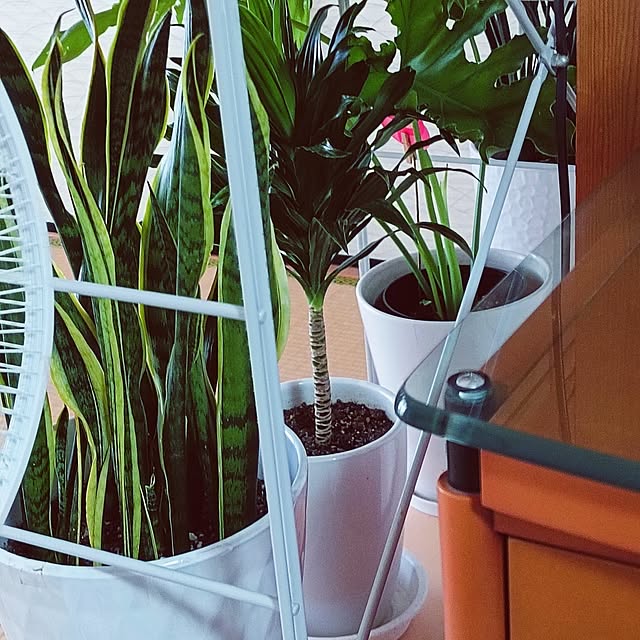 hanachanさんの部屋