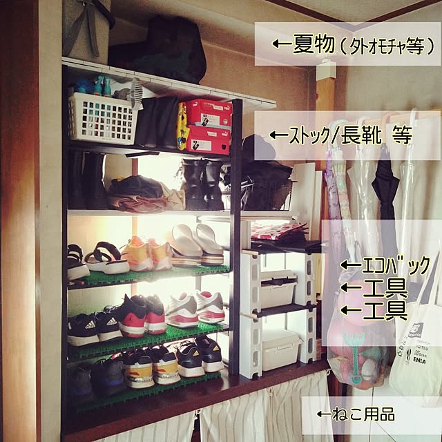 cocoroさんの部屋