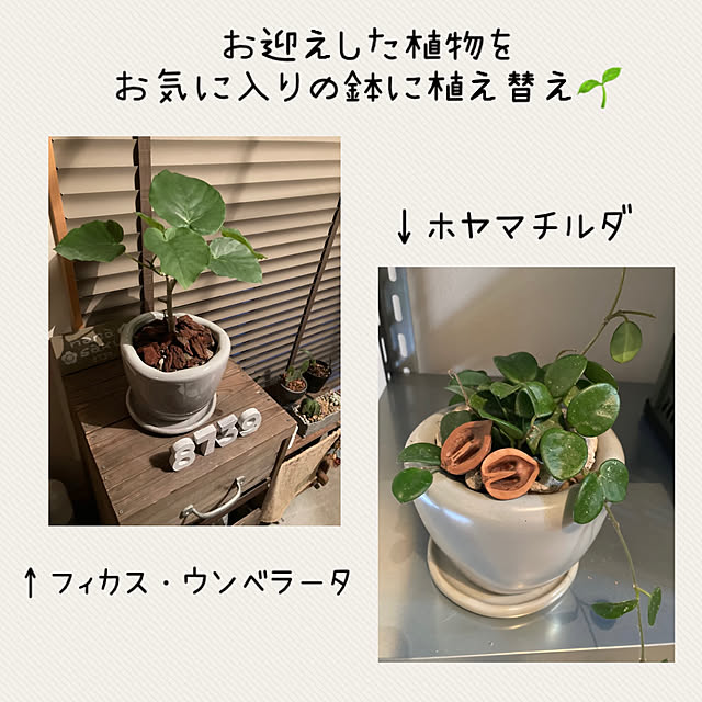 mkk8739hanasakuさんの実例写真