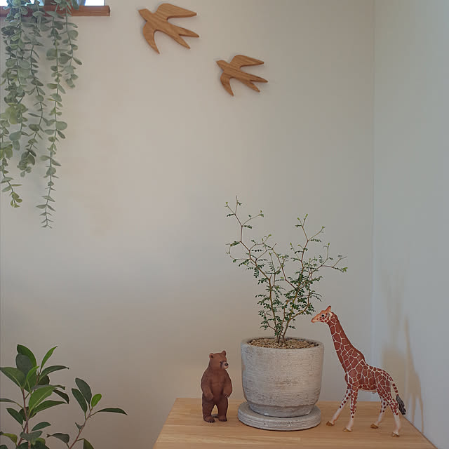 ss.my_homeさんの実例写真